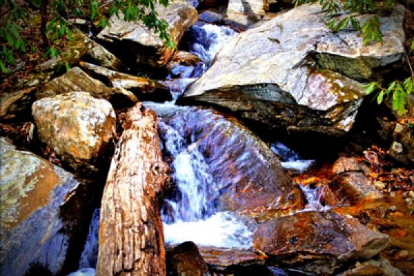 Gully Creek Trail-Cumberland Knob-Blue Ridge Parkway-Milepost 217.5