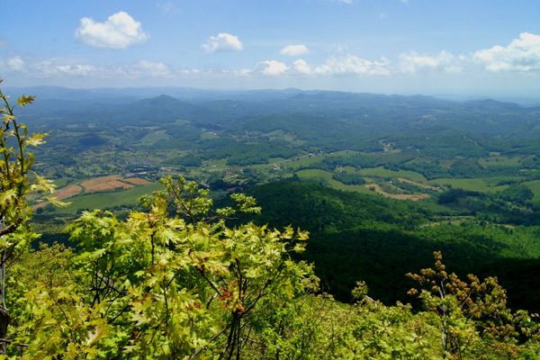 Mount Jefferson State Park Hiking Trails-Ashe County-West Jefferson, NC
