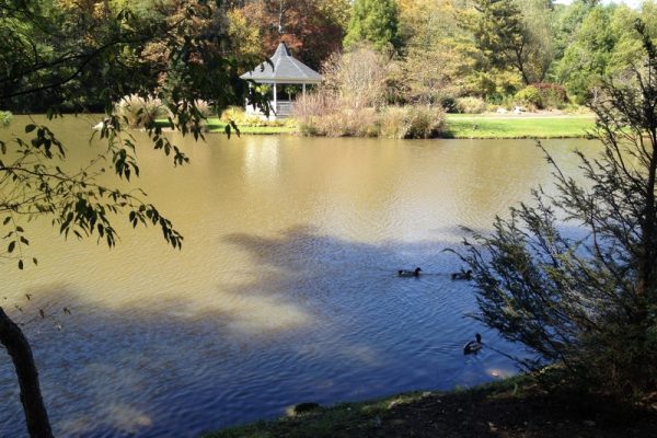 Broyhill Park Blowing Rock NC
