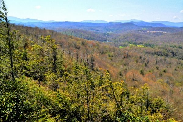 Flat Rock Trail-Blue Ridge Parkway-Milepost 308