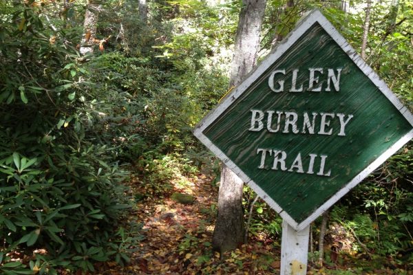 Glen Burney Trail-Blowing Rock NC Waterfalls