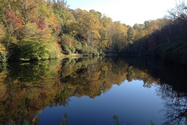 Green Knob Trail-Julian Price Park-Blue Ridge Parkway-Milepost 295.9