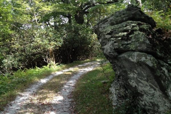 Rich Mountain Carriage-Moses Cone Memorial Park-Blue Ridge Parkway