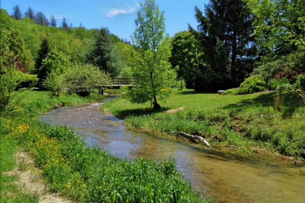 Tate Evans Park-Elk Creek-Banner Elk NC