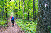 Blue Ridge Mountains Long Distance Hiking Trails