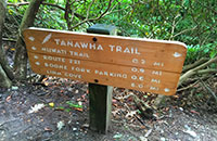 Search For Hiking Trails in the Blue Ridge Mountains by Distance