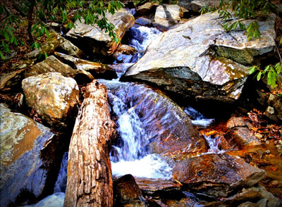 Gully Creek Trail-Cumberland Knob-Blue Ridge Parkway-Milepost 217.5