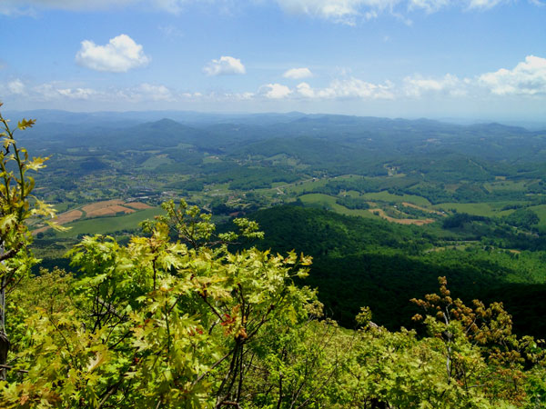 Mount Jefferson State Park Hiking Trails-Ashe County-West Jefferson, NC
