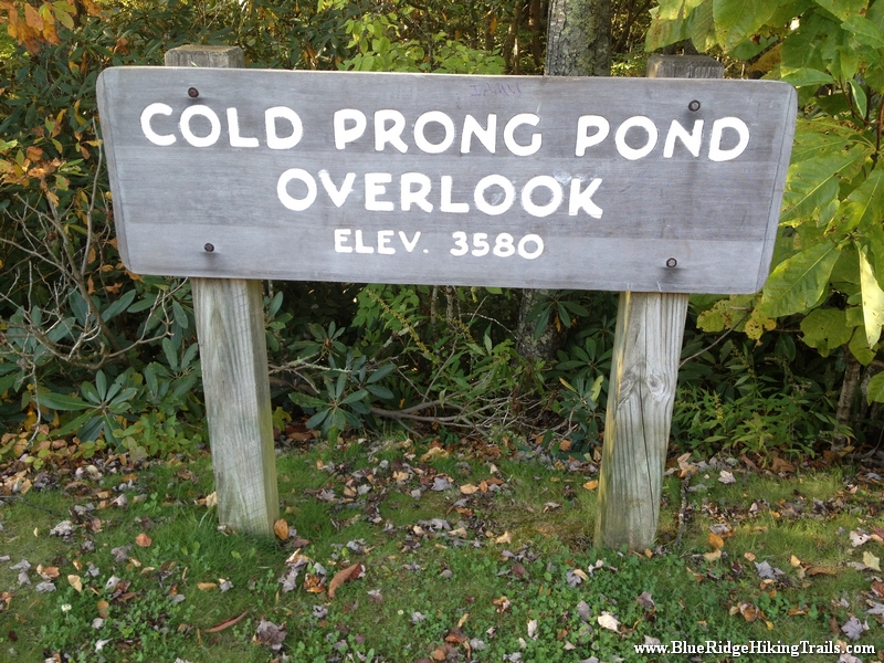 Cold Prong Trail-Blue Ridge Parkway-Milepost 299