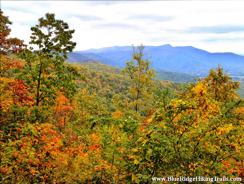 Fox Hunters Paradise-Blue Ridge Parkway-Milepost 218.6