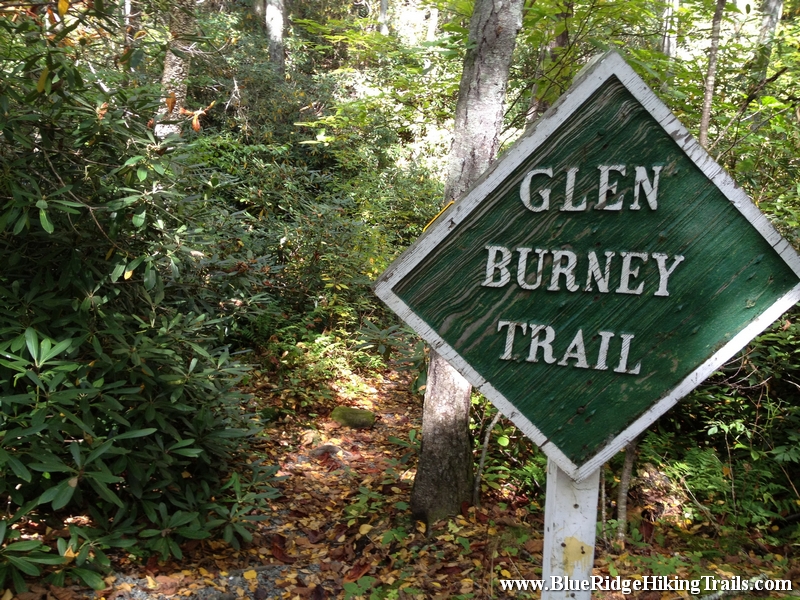 Glen Burney Trail-Blowing Rock NC Waterfalls