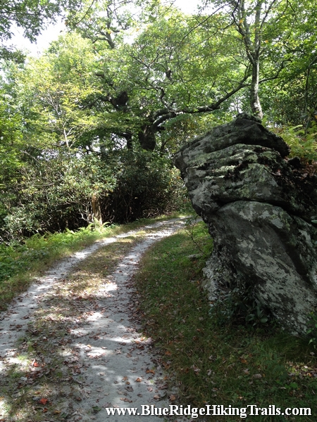 Rich Mountain Carriage-Moses Cone Memorial Park-Blue Ridge Parkway