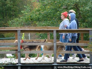 Tate Evans Park-Elk Creek-Banner Elk NC Blue Ridge Hiking Trails