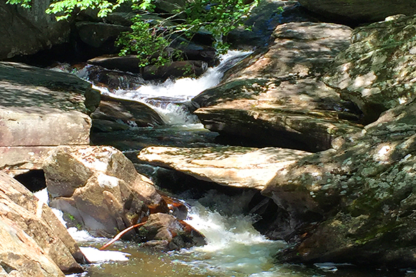 Boone Fork Trail-Blue Ridge Parkway-Milepost 296.5